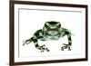 Green And Black Poison Frog (Dendrobates Auratus) Isla Pastores-Jp Lawrence-Framed Photographic Print