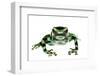 Green And Black Poison Frog (Dendrobates Auratus) Isla Pastores-Jp Lawrence-Framed Photographic Print