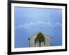 Green and Blue-Trent Foltz-Framed Art Print