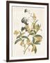 Green and Gold Flowers 2-Jace Grey-Framed Art Print