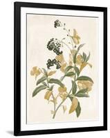 Green and Gold Flowers 2-Jace Grey-Framed Art Print