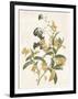 Green and Gold Flowers 2-Jace Grey-Framed Art Print