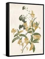 Green and Gold Flowers 2-Jace Grey-Framed Stretched Canvas