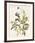 Green and Gold Flowers 2-Jace Grey-Framed Art Print