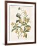Green and Gold Flowers 2-Jace Grey-Framed Art Print