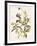 Green and Gold Flowers 2-Jace Grey-Framed Art Print