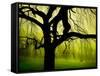 Green and Golden Landscape behind Tree-Jan Lakey-Framed Stretched Canvas