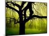 Green and Golden Landscape behind Tree-Jan Lakey-Mounted Photographic Print