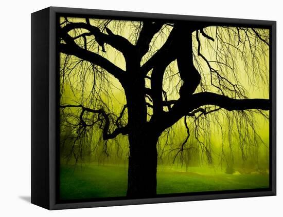 Green and Golden Landscape behind Tree-Jan Lakey-Framed Stretched Canvas