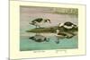 Green and Indian Pygmy Goose-Louis Agassiz Fuertes-Mounted Premium Giclee Print