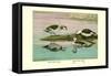 Green and Indian Pygmy Goose-Louis Agassiz Fuertes-Framed Stretched Canvas