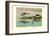 Green and Indian Pygmy Goose-Louis Agassiz Fuertes-Framed Premium Giclee Print