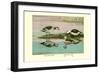 Green and Indian Pygmy Goose-Louis Agassiz Fuertes-Framed Premium Giclee Print