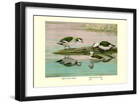 Green and Indian Pygmy Goose-Louis Agassiz Fuertes-Framed Art Print