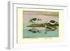 Green and Indian Pygmy Goose-Louis Agassiz Fuertes-Framed Art Print