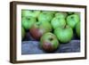 Green and Red-Den Reader-Framed Photographic Print