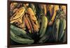 Green and Ripe Plantains, 2009-Pedro Diego Alvarado-Framed Giclee Print