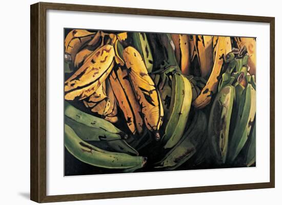 Green and Ripe Plantains, 2009-Pedro Diego Alvarado-Framed Giclee Print