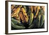 Green and Ripe Plantains, 2009-Pedro Diego Alvarado-Framed Giclee Print