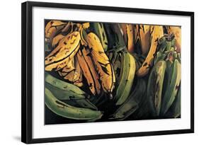 Green and Ripe Plantains, 2009-Pedro Diego Alvarado-Framed Giclee Print