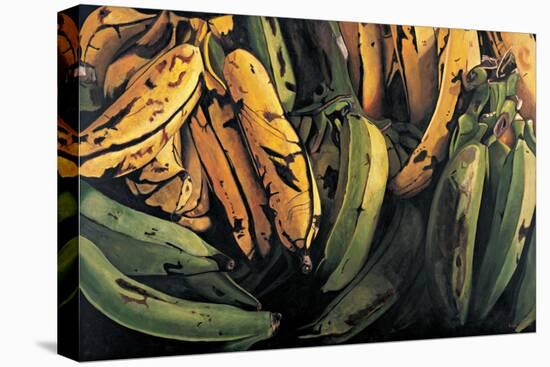 Green and Ripe Plantains, 2009-Pedro Diego Alvarado-Stretched Canvas
