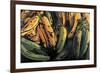 Green and Ripe Plantains, 2009-Pedro Diego Alvarado-Framed Giclee Print