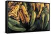 Green and Ripe Plantains, 2009-Pedro Diego Alvarado-Framed Stretched Canvas