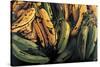 Green and Ripe Plantains, 2009-Pedro Diego Alvarado-Stretched Canvas