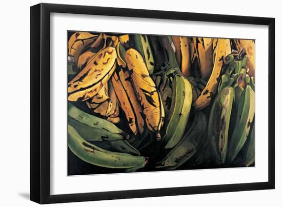 Green and Ripe Plantains, 2009-Pedro Diego Alvarado-Framed Giclee Print