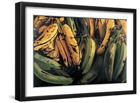 Green and Ripe Plantains, 2009-Pedro Diego Alvarado-Framed Giclee Print