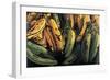 Green and Ripe Plantains, 2009-Pedro Diego Alvarado-Framed Giclee Print
