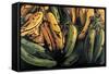 Green and Ripe Plantains, 2009-Pedro Diego Alvarado-Framed Stretched Canvas