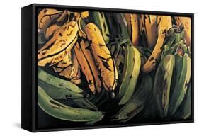 Green and Ripe Plantains, 2009-Pedro Diego Alvarado-Framed Stretched Canvas