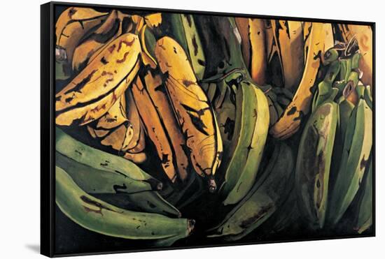 Green and Ripe Plantains, 2009-Pedro Diego Alvarado-Framed Stretched Canvas