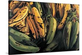 Green and Ripe Plantains, 2009-Pedro Diego Alvarado-Stretched Canvas