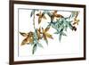 Green and Umber Leaves-Jackie Battenfield-Framed Giclee Print