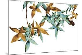 Green and Umber Leaves-Jackie Battenfield-Mounted Giclee Print