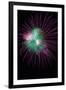 Green and Violet Amazing Fireworks Isolated in Dark Background-lucky-photographer-Framed Photographic Print