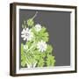 Green and White Flowers-sabelskaya-Framed Art Print