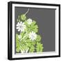 Green and White Flowers-sabelskaya-Framed Art Print