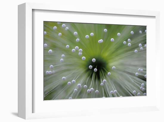 Green and White II-null-Framed Art Print