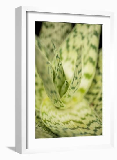 Green and White II-Erin Berzel-Framed Photographic Print