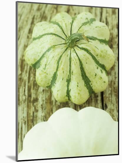 Green and White Striped Patty Pan Squash-Janne Peters-Mounted Photographic Print