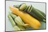 Green and Yellow Courgettes with Courgette Flowers-Eising Studio - Food Photo and Video-Mounted Photographic Print