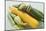 Green and Yellow Courgettes with Courgette Flowers-Eising Studio - Food Photo and Video-Mounted Photographic Print