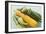 Green and Yellow Courgettes with Courgette Flowers-Eising Studio - Food Photo and Video-Framed Photographic Print