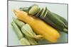 Green and Yellow Courgettes with Courgette Flowers-Eising Studio - Food Photo and Video-Mounted Photographic Print