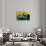 Green and Yellow Street Sign-David Studwell-Giclee Print displayed on a wall