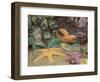 Green Anemones and Sea Stars, Cape Kiwanda State Park, Oregon, USA-Stuart Westmoreland-Framed Photographic Print