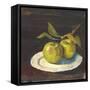 Green Apple I Dark Brown-Carol Rowan-Framed Stretched Canvas